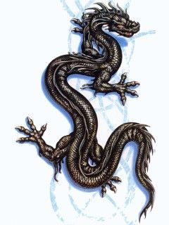 各种西方龙的画法高清图片,西方龙的种类和等级划分