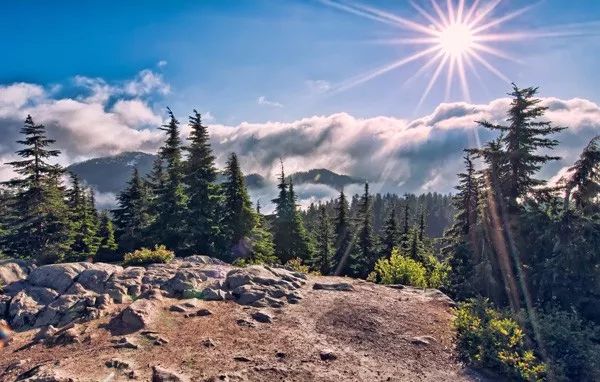 强光拍不出好照片？学会这几点一切皆有可能！
