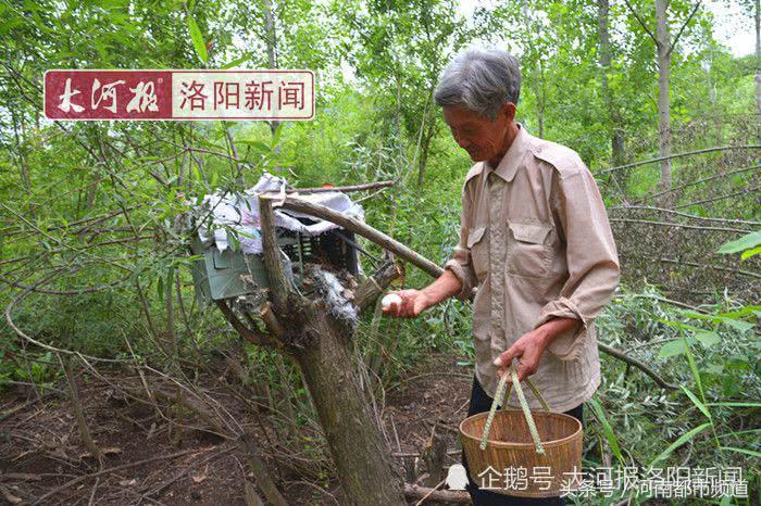 河南老人孤岛养鱼替儿还债：账本从不离身，天天啃馒头吃大蒜！