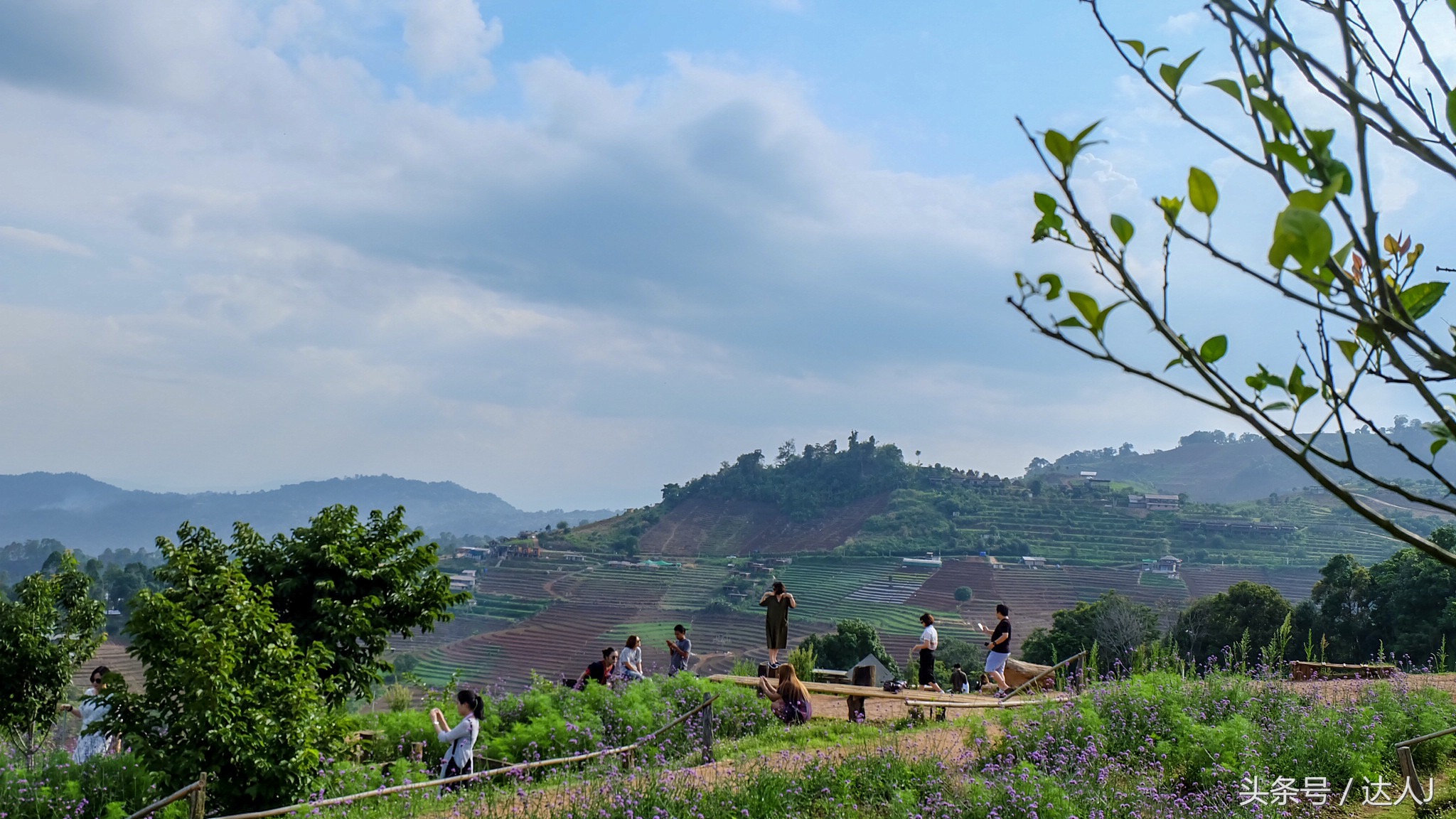 清迈民谣小清新,清迈清新小院