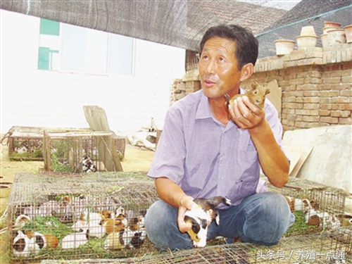 十大适合目前农村创业的项目,农民返乡创业有哪些好项目