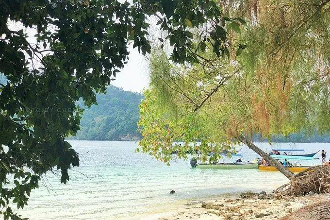 人在囧途通关攻略,人在囧途之历险