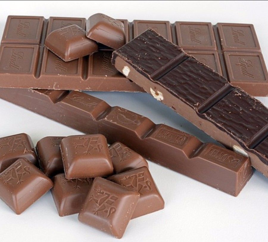 铲屎官新手必看攻略,新手铲屎官必做的10件事