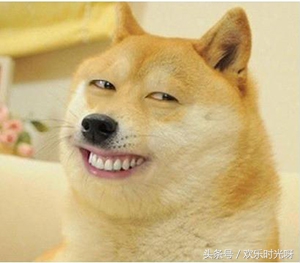 办公电脑cpu选酷睿还是amd,装机配置推荐2021cpu