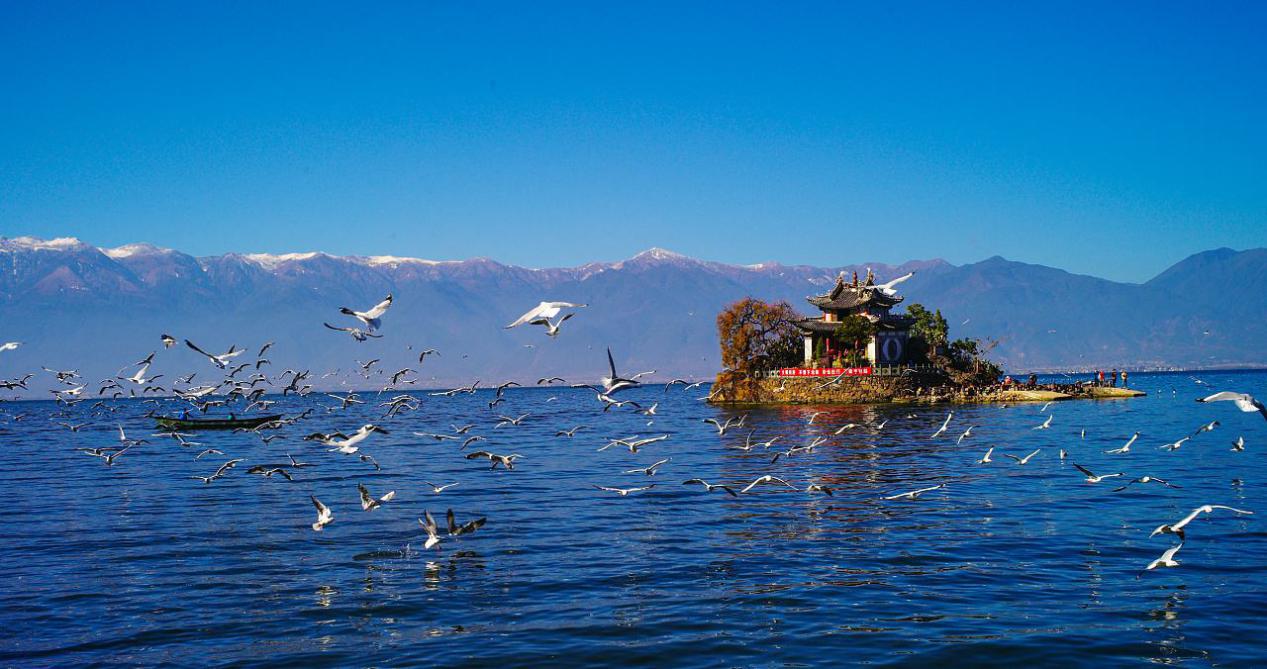 吉特士奶粉,吉特士有机奶粉