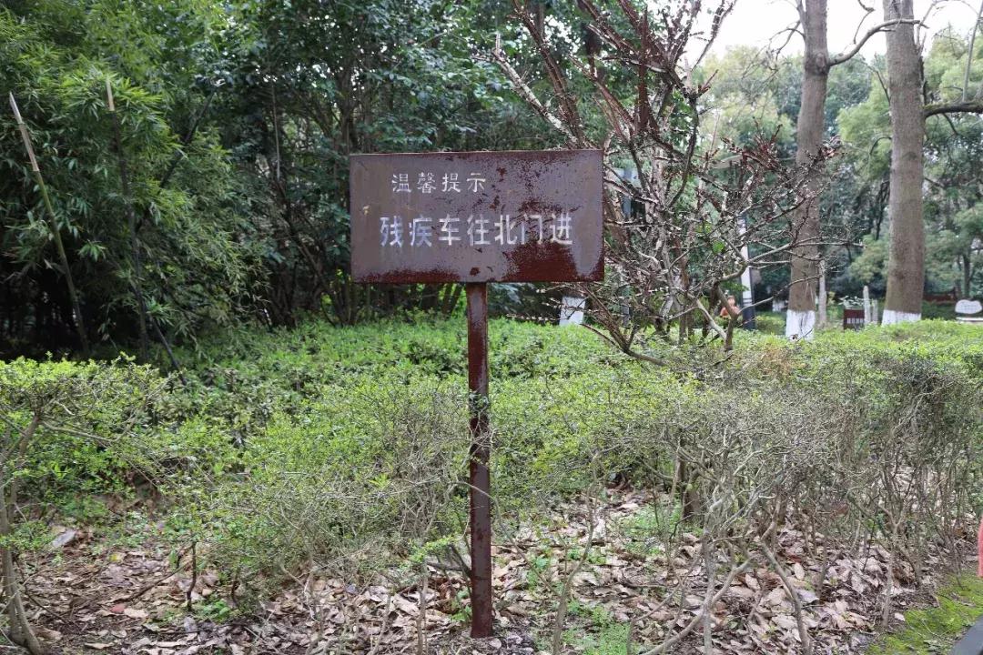 象山老县城,象山变迁