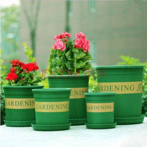 养花用什么花盆才合适,养花最好用什么花盆