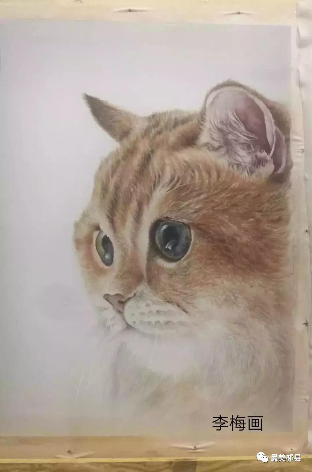 情系职中(杨保卫)