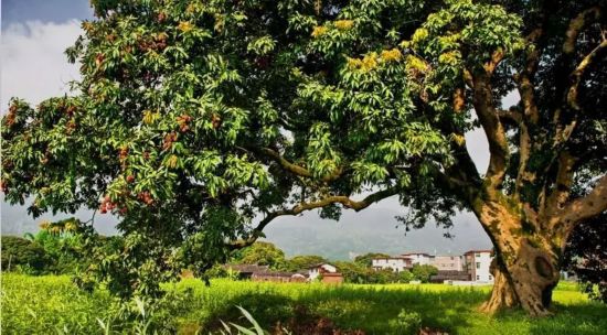 福建美丽莆田,美丽的家乡莆田市秀屿区