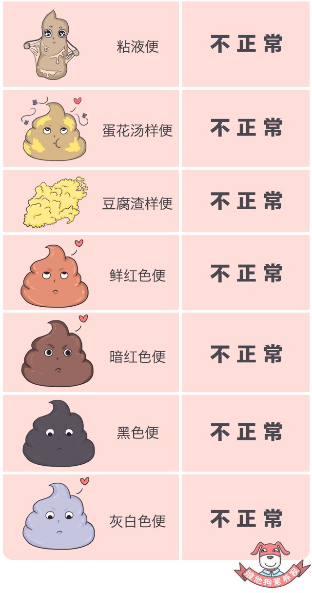 令人困扰的便便儿童科普,关于便便的小知识