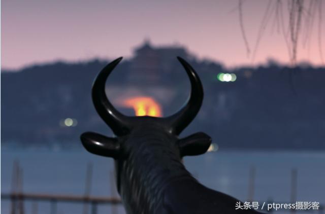 前期拍摄画草图技巧有哪些,线描画人物摄影技巧构图