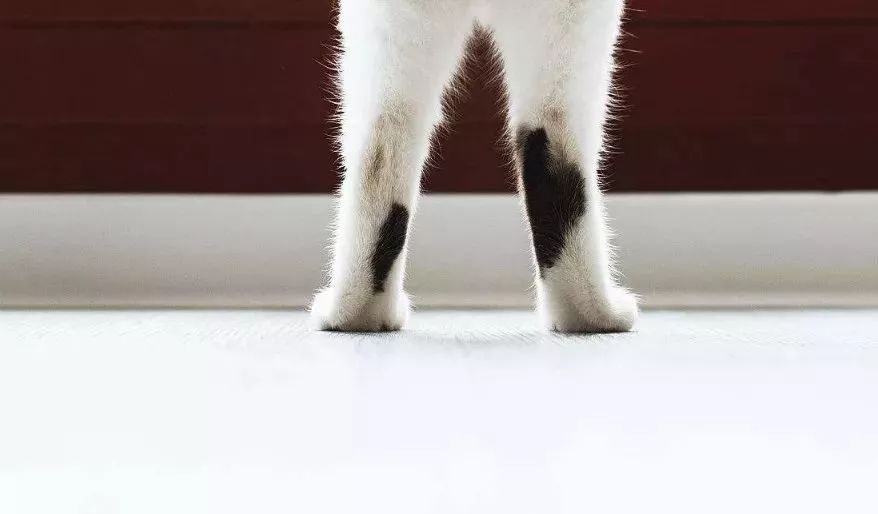 长期久坐会导致身体僵硬吗,久坐脖子僵硬如何缓解