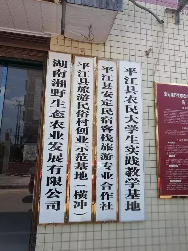 乡村振兴之美丽乡村建设调研,农城微旅