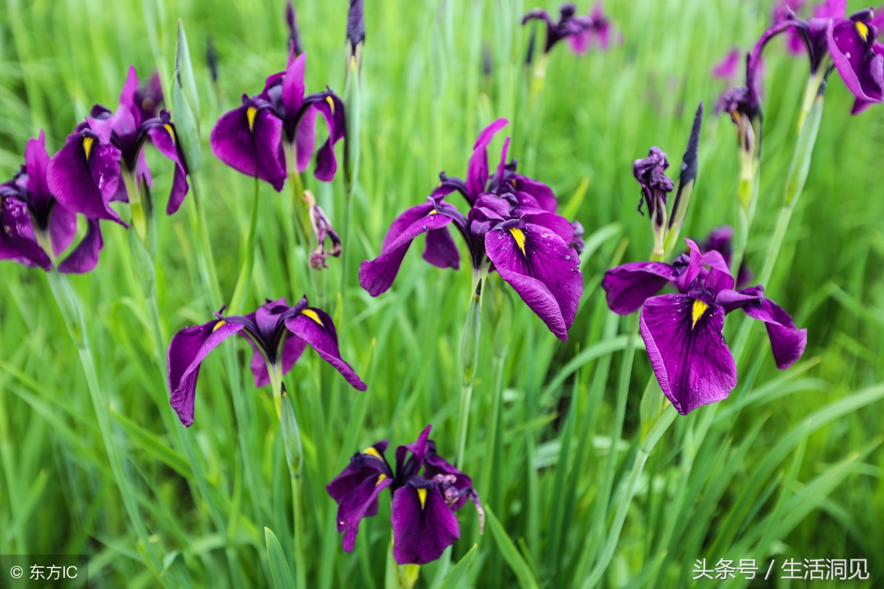 人到老了屁股会萎缩吗,马屁是不是随便拍的