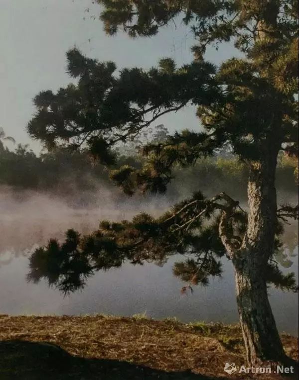 张大千巴西时期拍卖作品,张大千一生赚了多少钱