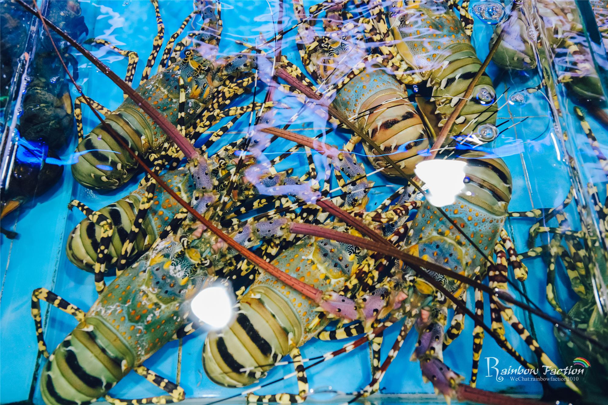 三亚亚龙湾壹号小镇奥特莱斯美食,亚龙湾壹号小镇奥特莱斯