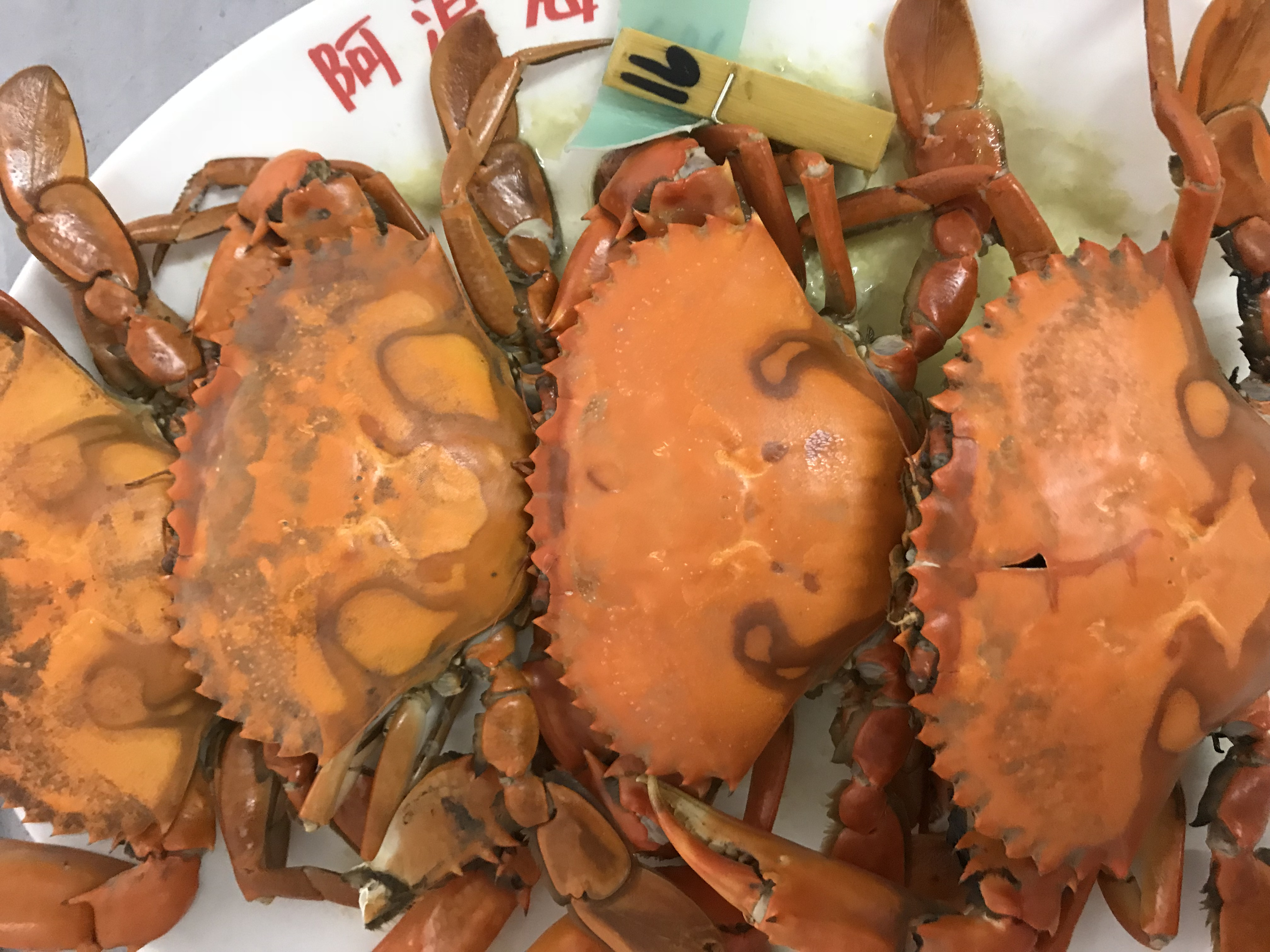 大玲子和爸妈去旅行三亚,带家人去三亚玩都不满意