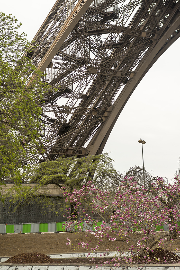 清明巴黎,清明文化节必玩胜地