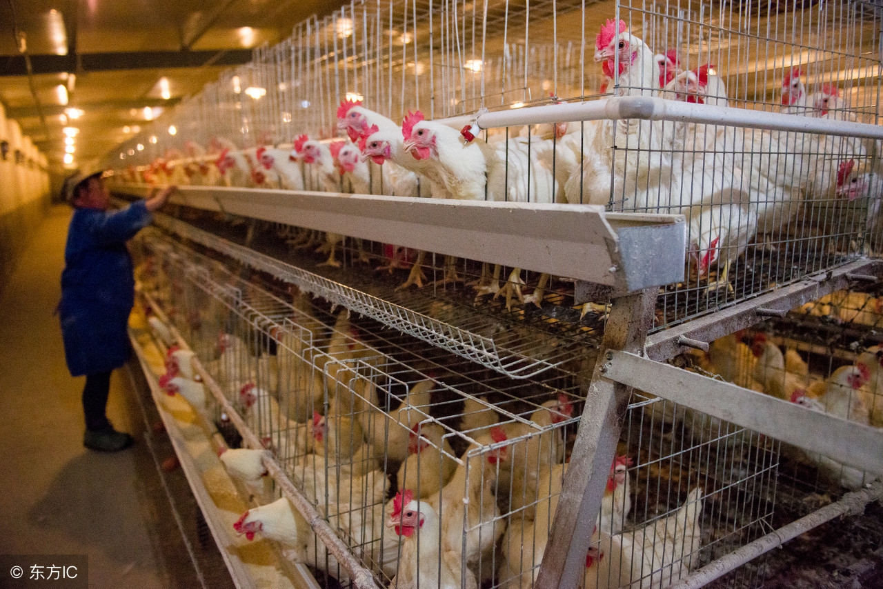 如何快速去除药物副作用,药物残留的最佳解决方法