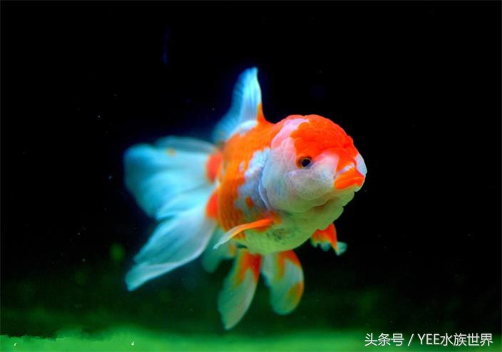 多管下水解决方案,多管齐下才有良效吗