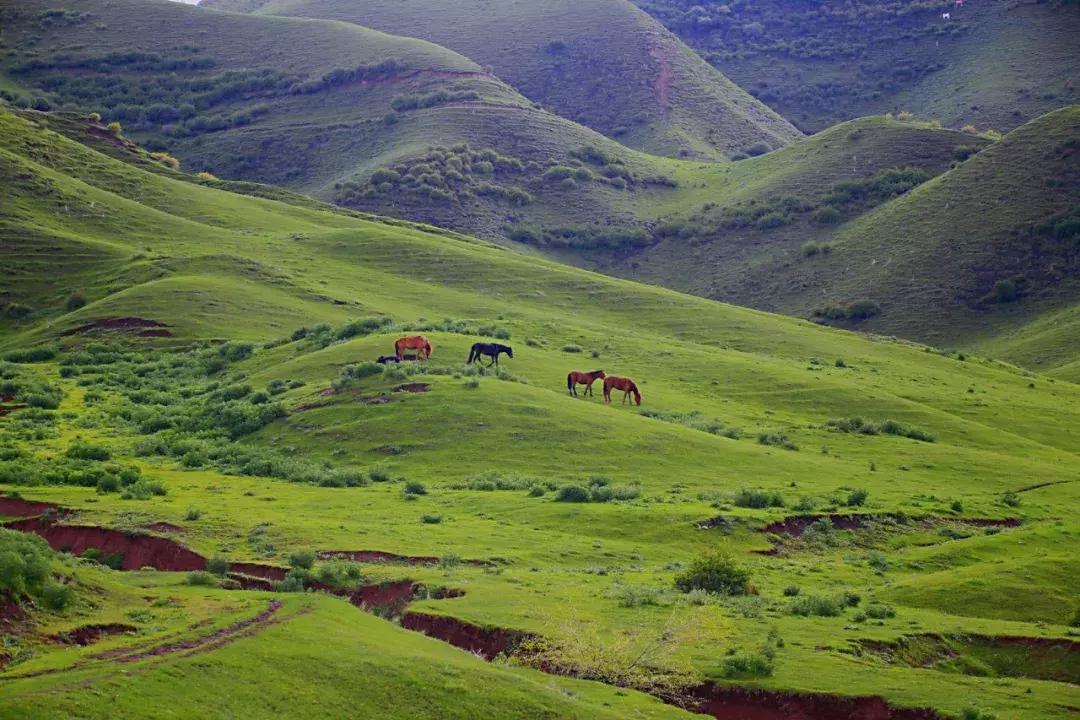他用对葡园的爱拍出了这片人间仙境