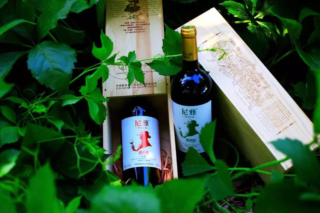 他用对葡园的爱拍出了这片人间仙境