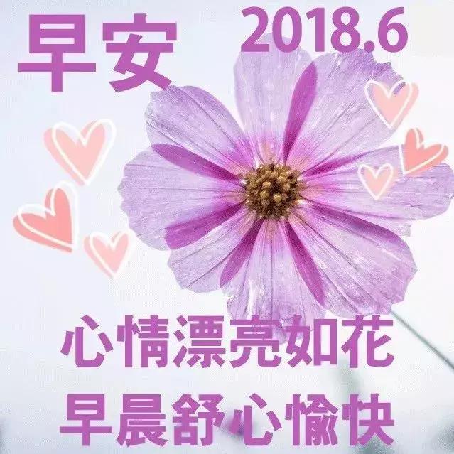 又是全新的一天，新的心情！（06月04日周一早晨）