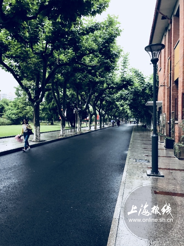 绿树成荫景色宜人清新空气,绿树成荫环境优美空气清新