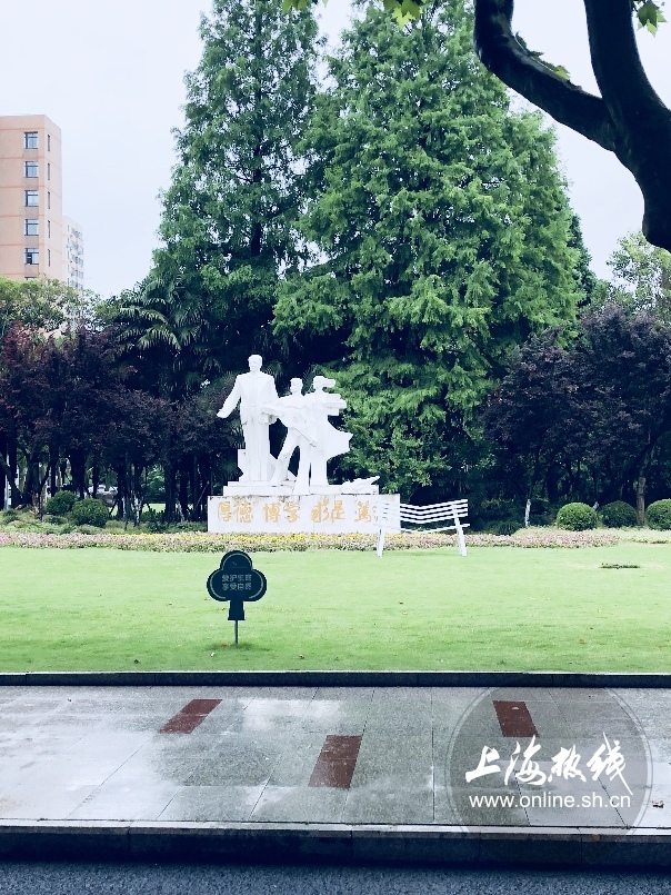 绿树成荫景色宜人清新空气,绿树成荫环境优美空气清新