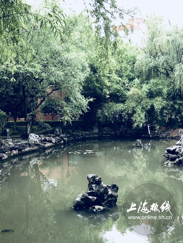绿树成荫景色宜人清新空气,绿树成荫环境优美空气清新