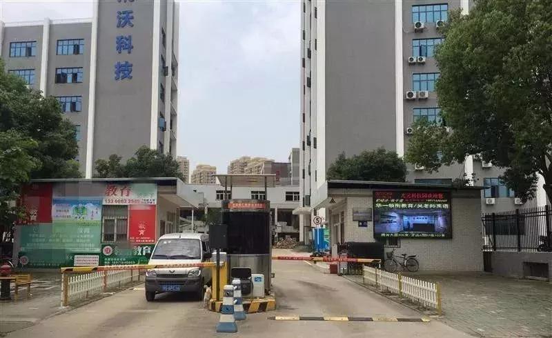 2小时收费7000元！武汉这所学校被多个培优机构疯狂包围！记者探秘