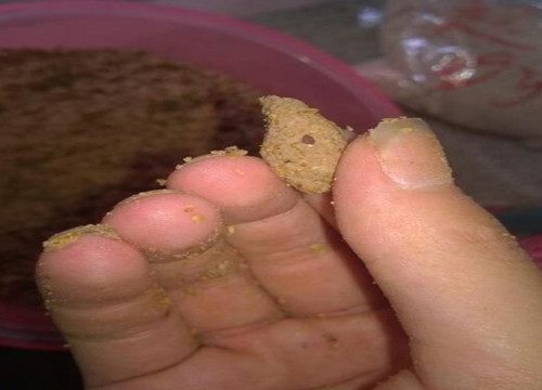 用鸡肝块钓鱼,鲜鸡肝怎么挂钩钓鱼