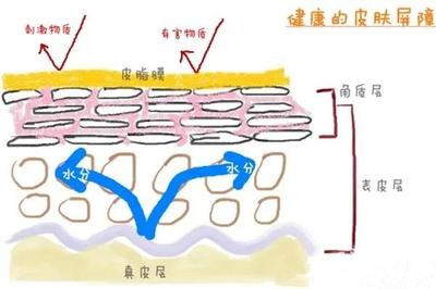 皮肤缺水外油内干怎么护肤,夏天外油内干的皮肤如何护肤