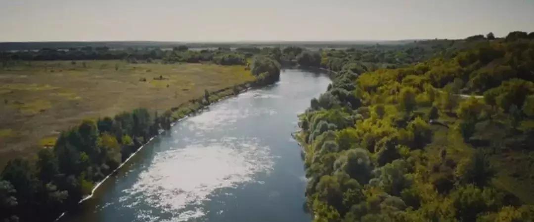 柏林电影节2024德国电影,德国电影必看25部