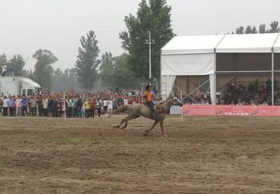 中华民族大赛马2020比赛日程,中华民族耐力赛马节