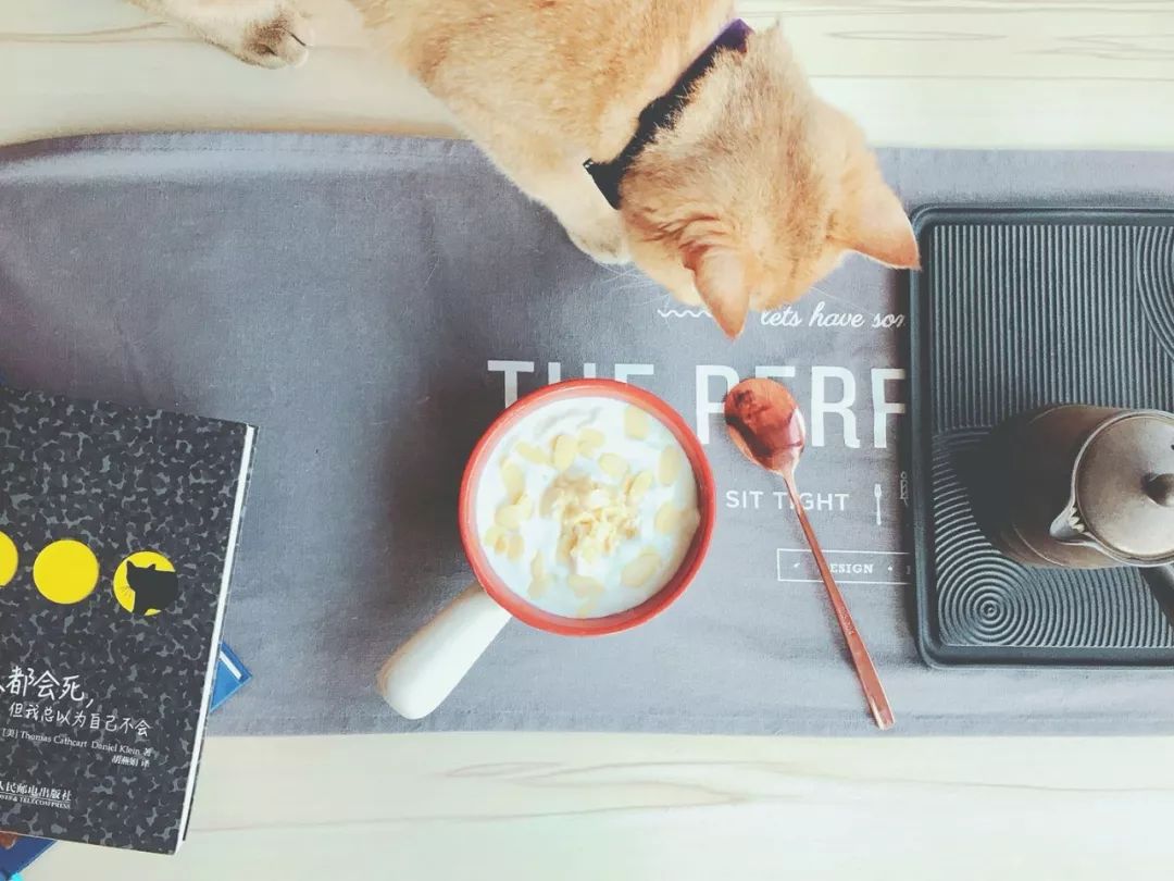 D155：留恋知识的酸奶~当榴莲遇到芝士酸奶，你将被打开新世界大门