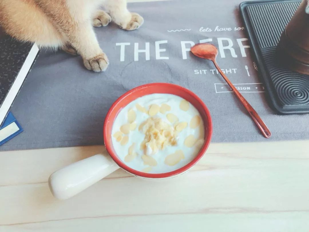 D155：留恋知识的酸奶~当榴莲遇到芝士酸奶，你将被打开新世界大门