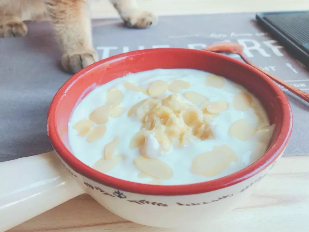 D155：留恋知识的酸奶~当榴莲遇到芝士酸奶，你将被打开新世界大门