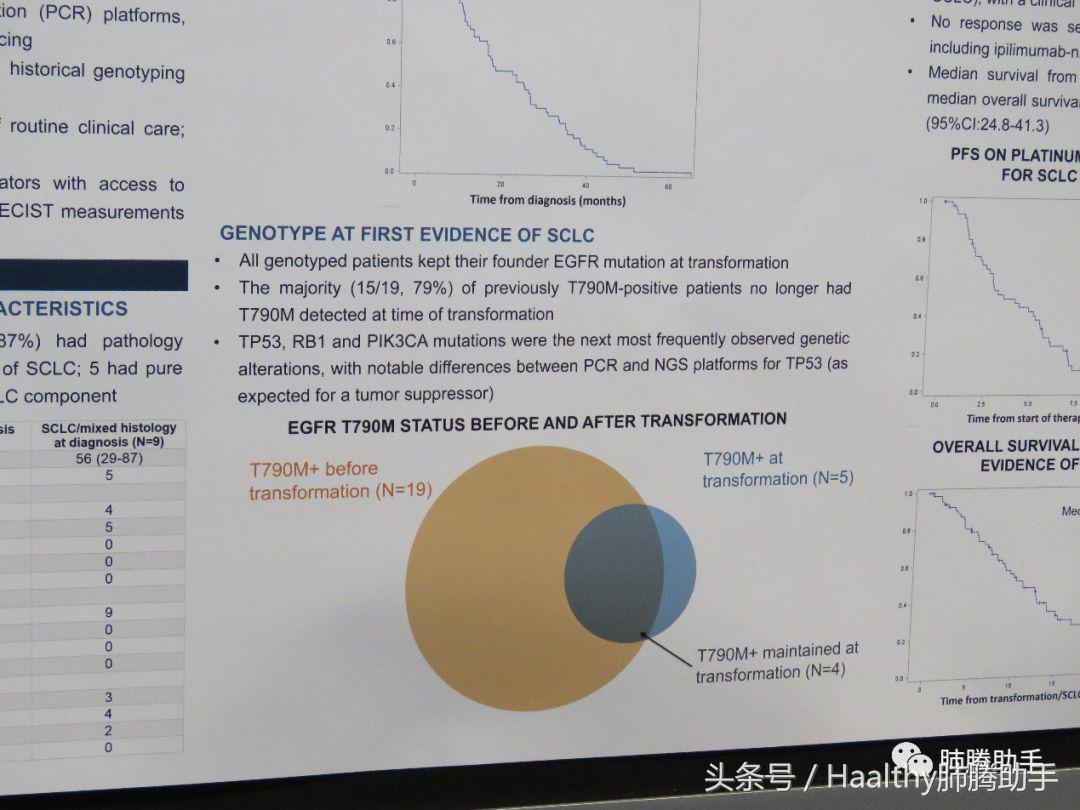 2018ASCO｜“转化治疗”只能坐以待毙？来看看它的疗效如何？