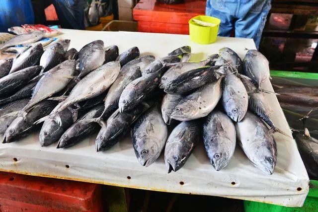 沉迷私岛酒店，这个夏天缺一次马来之旅