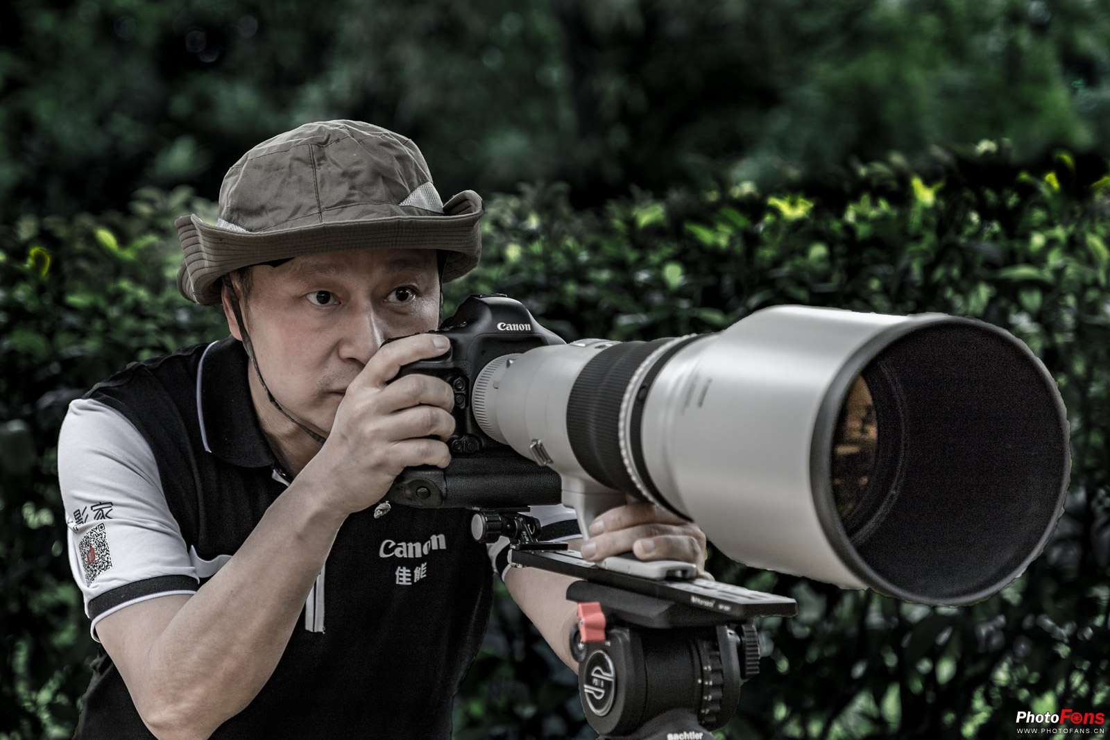 拍鸟如何选择对焦,全方位揭秘拍鸟技巧