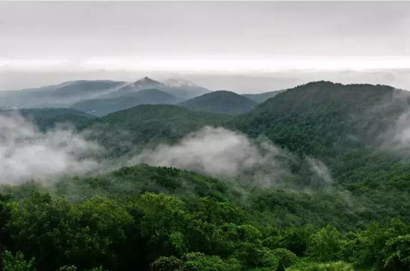 南京20分钟车程外的不老村，咖啡屋、书吧、酒吧，周末度假好去处