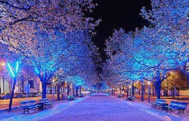 有机会就去逛逛世界知名的十大步行街