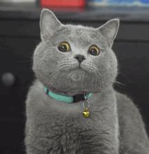 护肤夏天三不要,护肤不油腻推荐