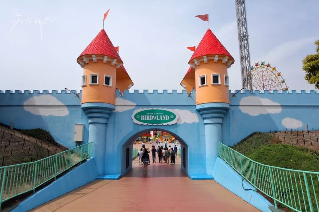 日本的这个地方,很少有中国游客,超级文艺治愈系!