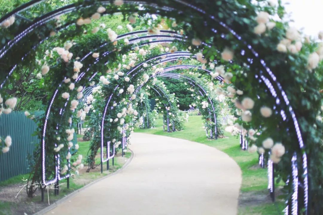 日本的这个地方，很少有中国游客，超级文艺治愈系！