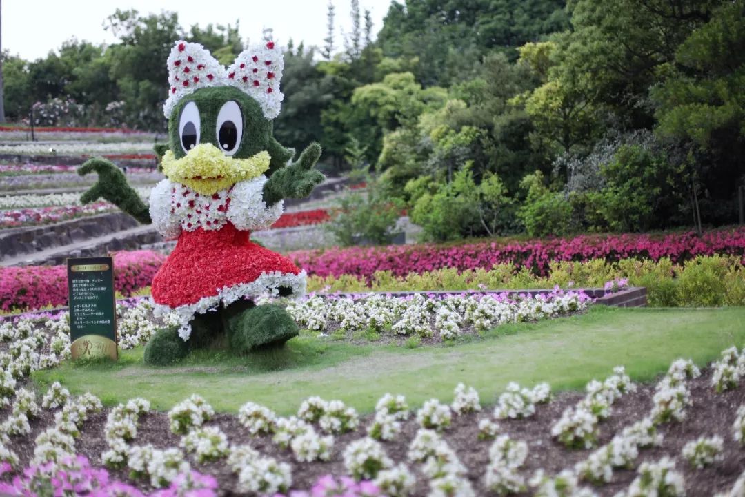 日本的哪个地方中国人不能去,日本什么地方很多中国人