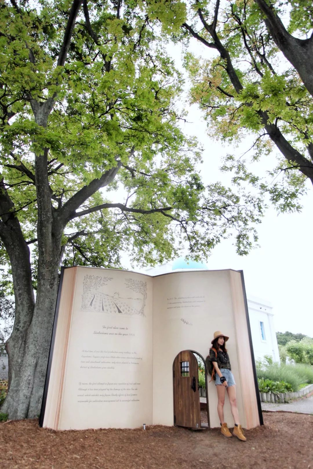 五天四晚适合去哪玩,适合五天四夜清静的旅行