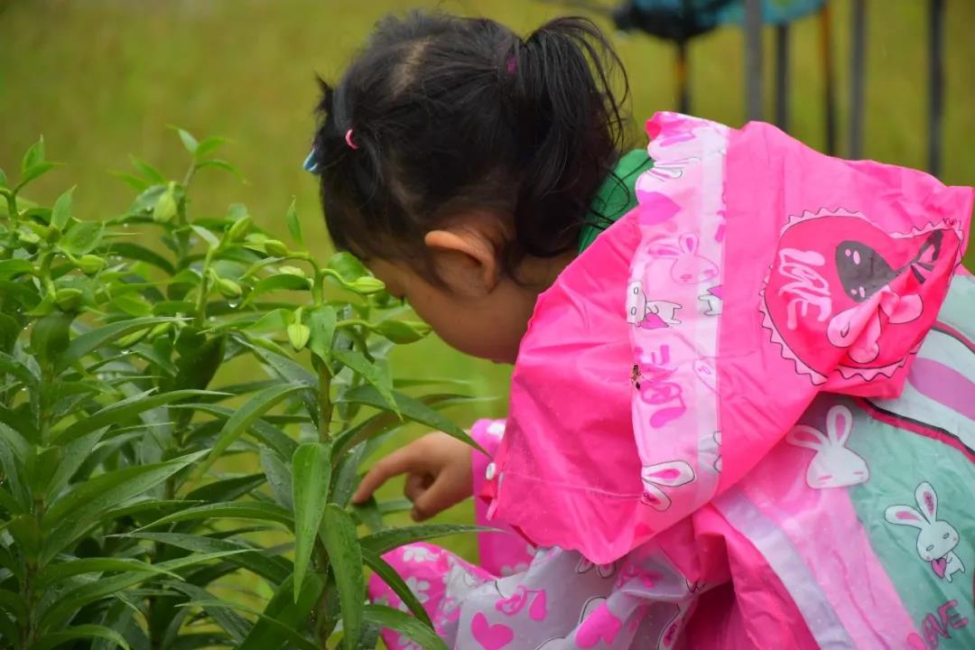 潍坊博苑溪谷森林幼儿园收费,博苑溪谷森林自然课程