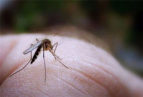 蚊子包越挠越扩散,蚊子包痒怎么快速止痒